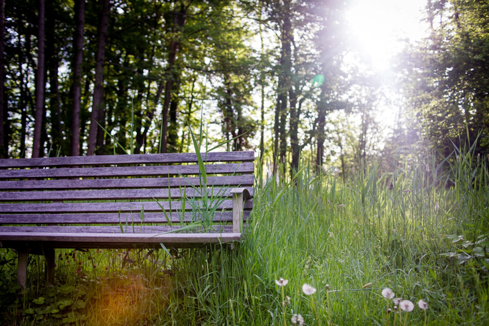 Yoga Tages Retreat Zeit F R Eine Pause Schloss Wartegg