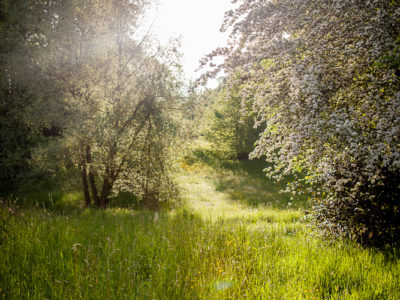 park
