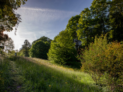 park