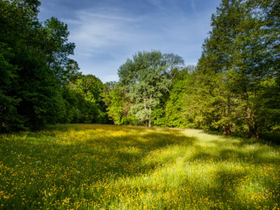 park