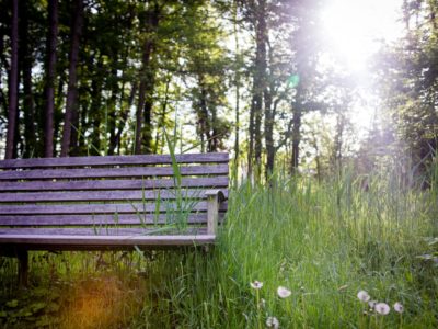 Platz zum Entspannen im Schloss-Park