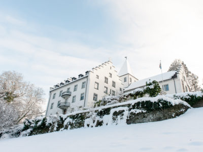 Schloss im Winter