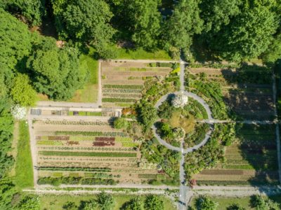 Schloss-Garten